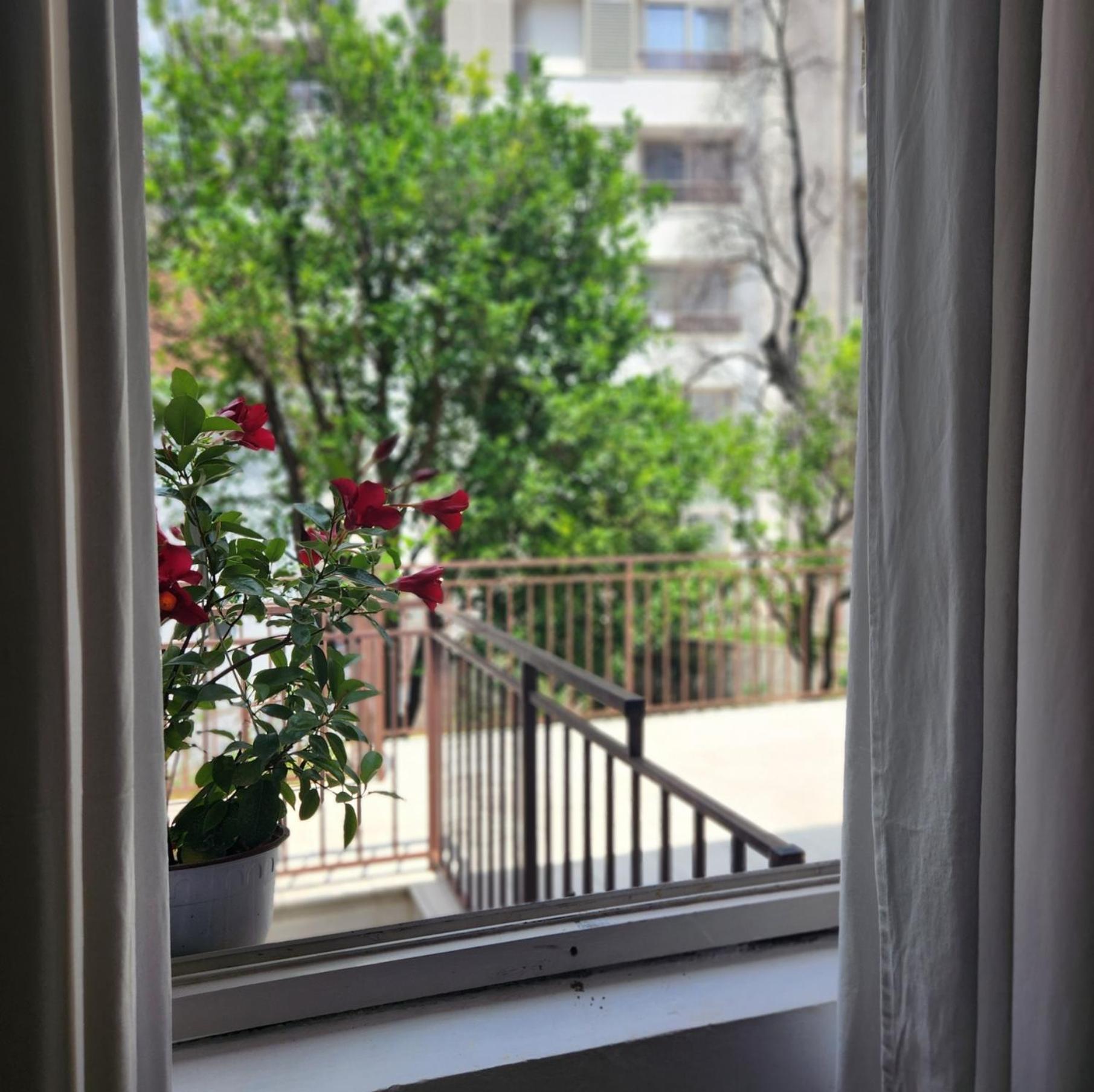 Bela Kuca Studio Apartments-Na Korak Do Mora-A Step To The Sea Rafajlovići Εξωτερικό φωτογραφία